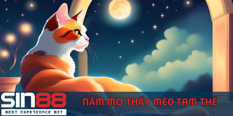 nam-mo-thay-meo-theo-mau-sac-cua-bo-long